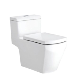 C107137 Bồn cầu 1 khối nắp đóng êm Grand Tetragon