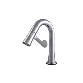 CT1301C43DG Vòi chậu lavabo nước lạnh Soft Paddle