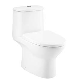 C1053 Bồn cầu 1 khối nắp đóng êm Micc